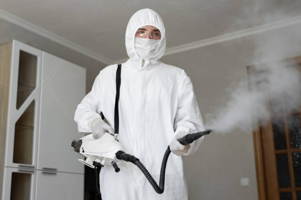 East Renton Highlands, WA Mold Removal Company